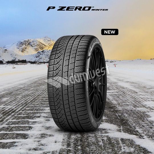 295/35R20 101V WPZERO(NA0)